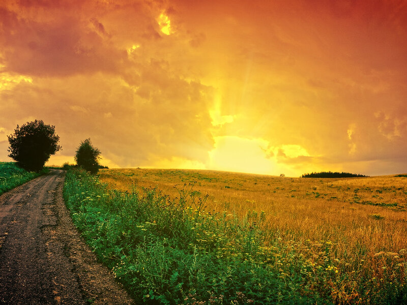 Dirt Road in Field — Orange, Dramatic, Sunset