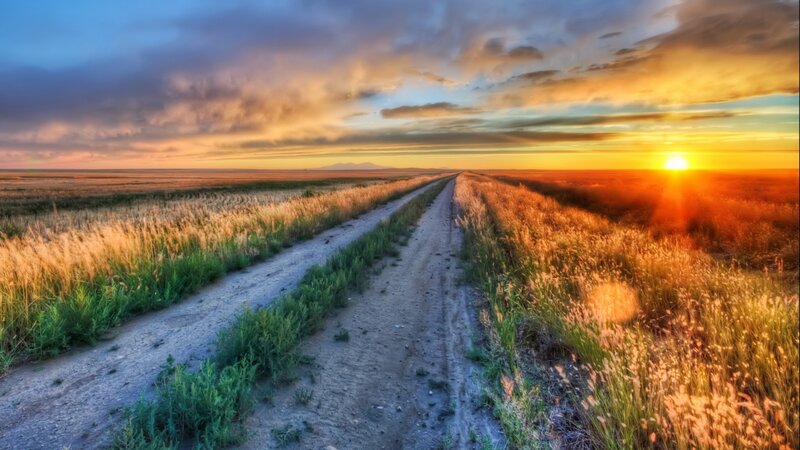 Dirt Road in Field — Orange, Serene, Sunset, Photograph, Sun, Clouds, Grass