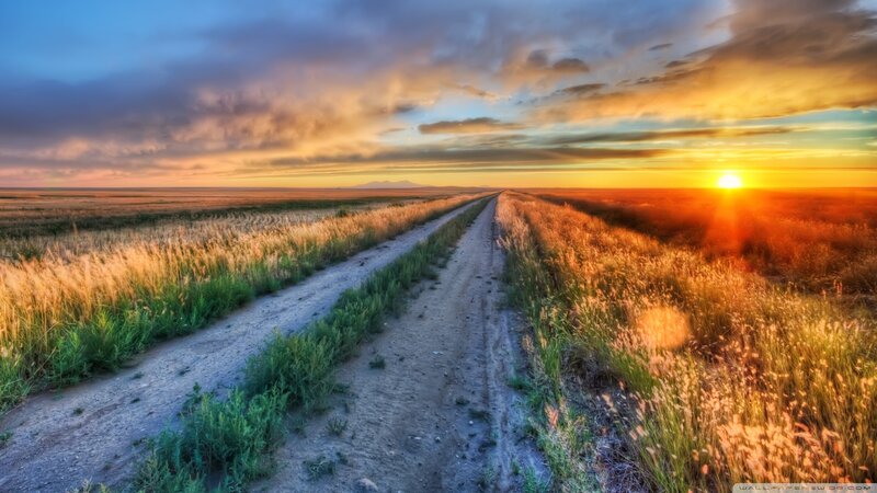 Dirt Road in Field — Orange, Serene, Sunset, Photograph, Sun