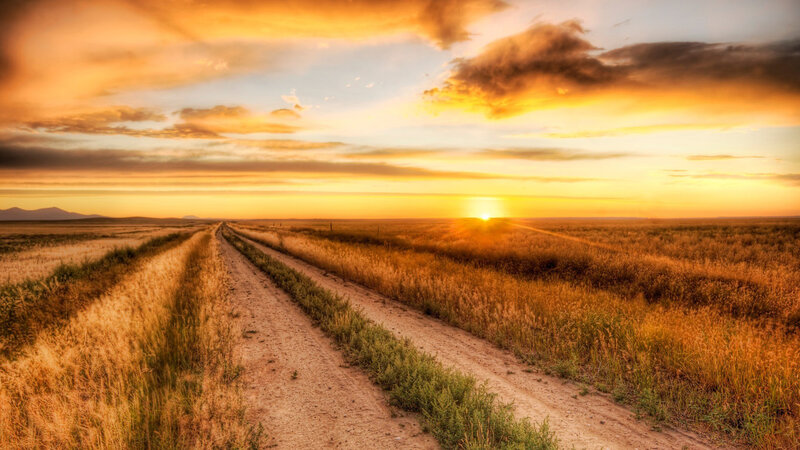Dirt Road in Field — Orange, Serene, Sunset