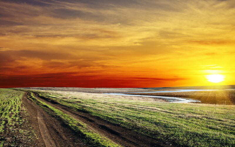 Dirt Road in Field — Orange