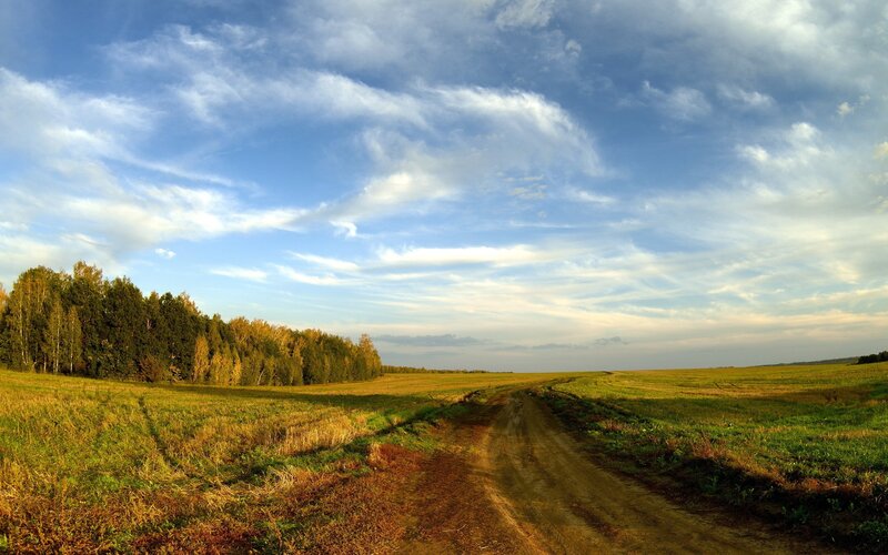 Dirt Road in Field — Photograph