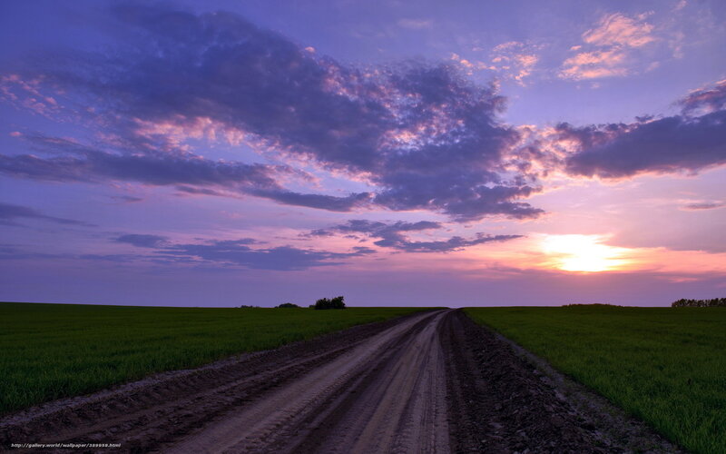Dirt Road in Field — Purple, Serene, Sunset