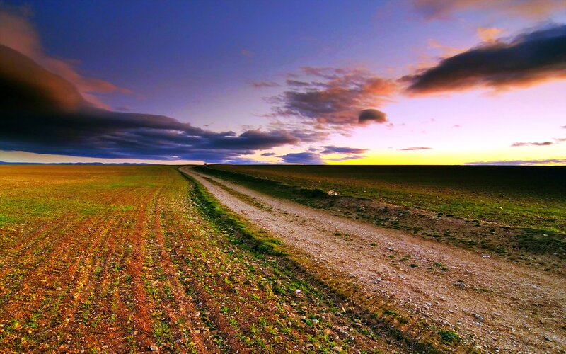 Dirt Road in Field — Purple