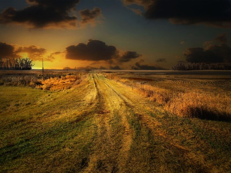 Dirt Road in Field — Yellow, Dramatic, Sunset, Photograph, Clouds