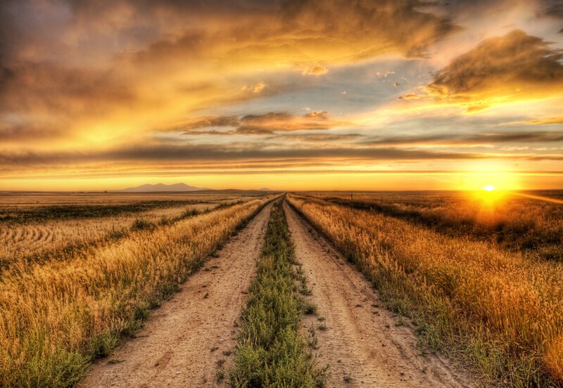 Dirt Road in Field — Yellow, Dramatic, Sunset, Photograph, Sun, Clouds, Mountains