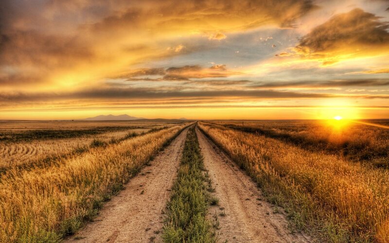 Dirt Road in Field — Yellow, Dramatic, Sunset, Photograph, Sun, Clouds