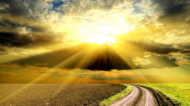 Dirt Road in Field — Yellow, Dramatic, Sunset, Photograph, Sun