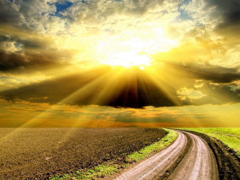Dirt Road in Field — Yellow, Dramatic, Sunset, Photograph, Sunlight, Clouds