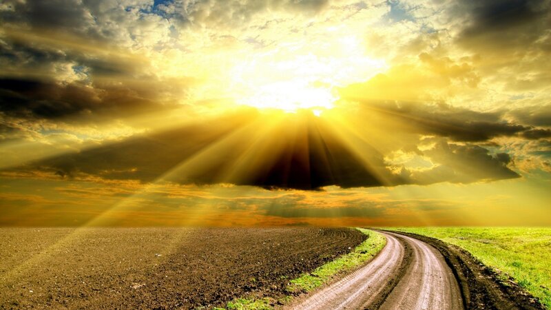 Dirt Road in Field — Yellow, Dramatic, Sunset, Photograph