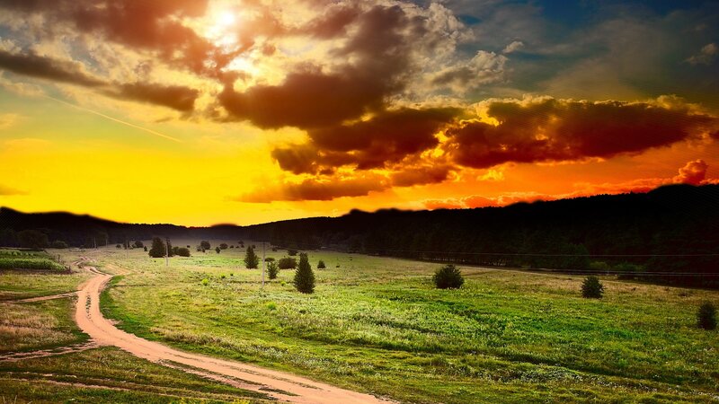 Dirt Road in Field — Yellow, Dramatic, Sunset