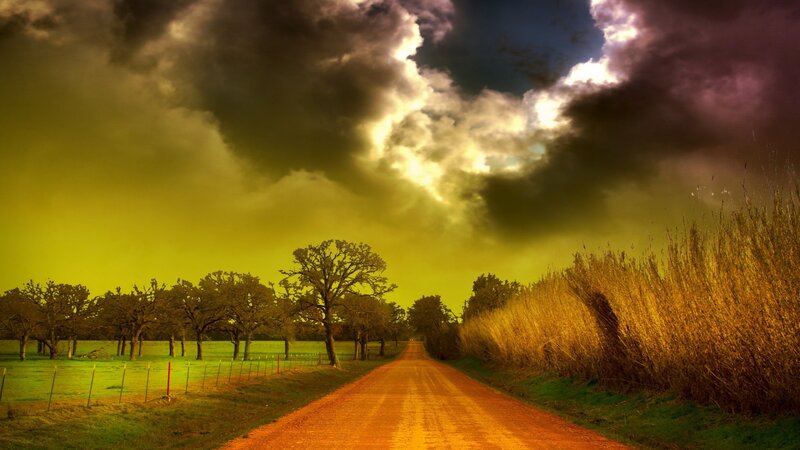 Dirt Road in Field — Yellow, Dramatic