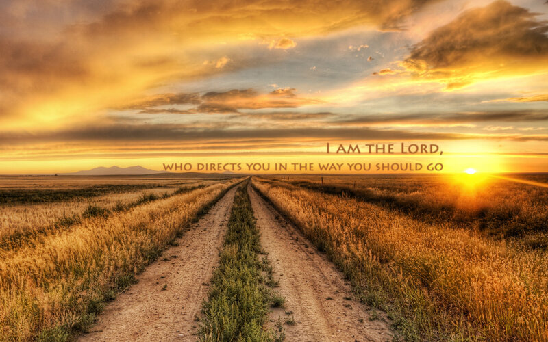 Dirt Road in Field — Yellow, Serene, Sunrise