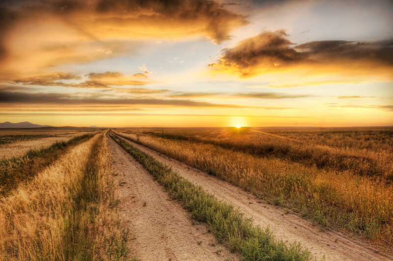 Dirt Road in Field — Yellow