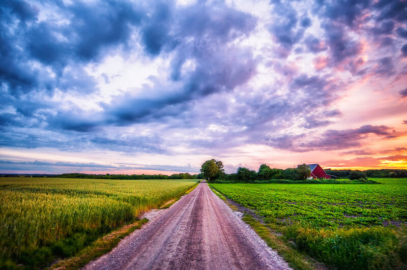 Dirt Road in Fields