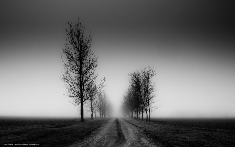 Dirt Road in Fog — Black, Somber