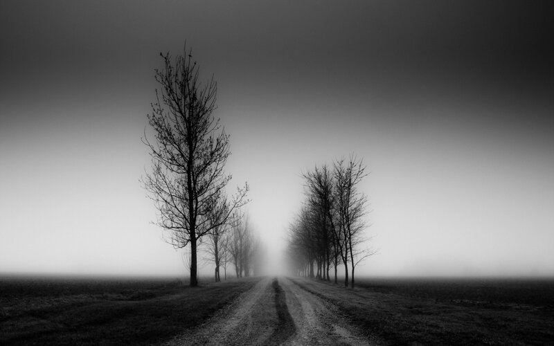 Dirt Road in Fog — Black