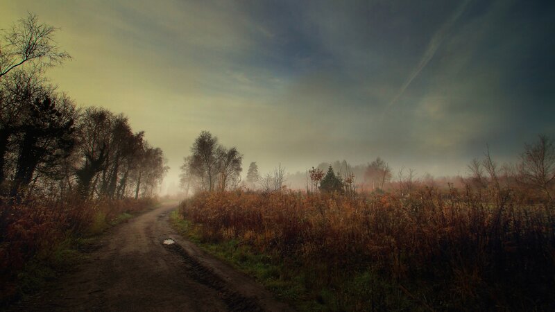 Dirt Road in Fog — Brown, Misty