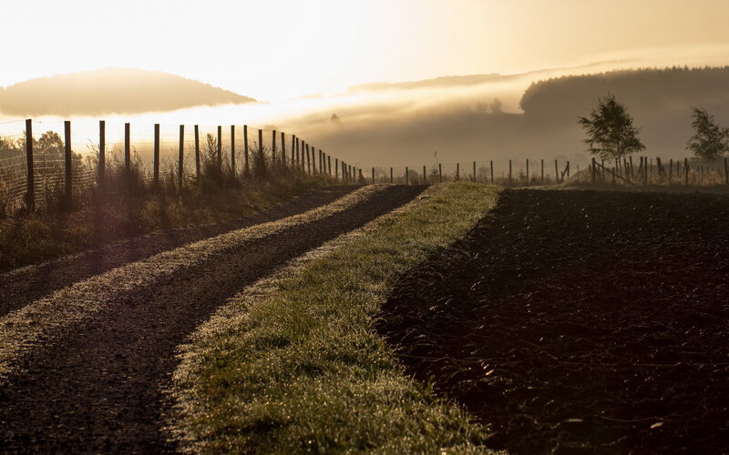 Dirt Road in Fog — Brown, Serene