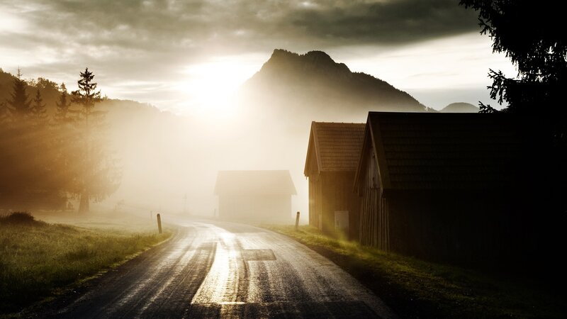 Dirt Road in Fog — Brown