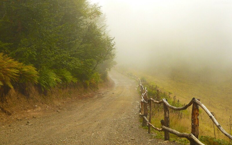 Dirt Road in Fog — Green, Misty, Morning