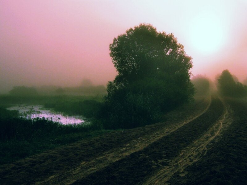 Dirt Road in Fog — Pink