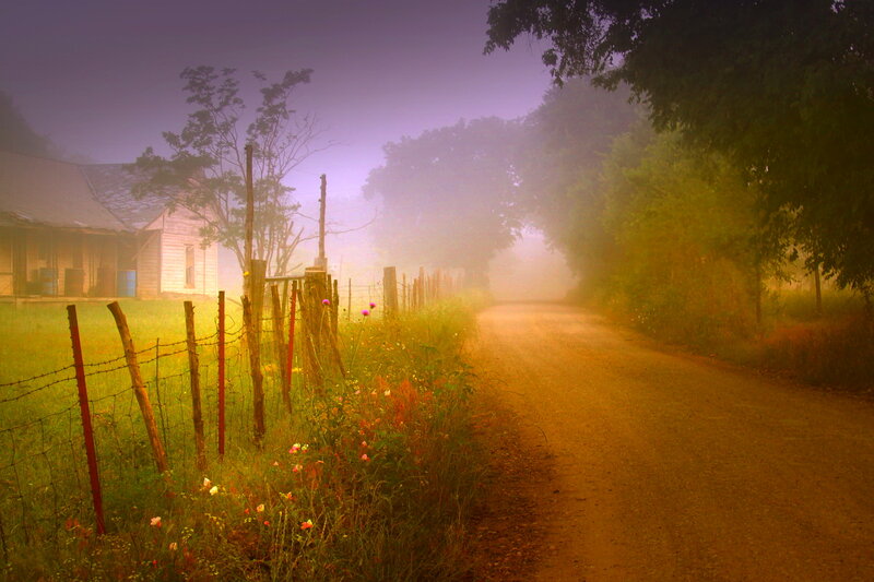 Dirt Road in Fog — Purple