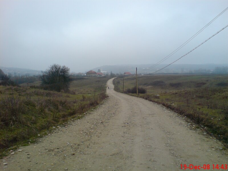 dirt road in foggy countryside
