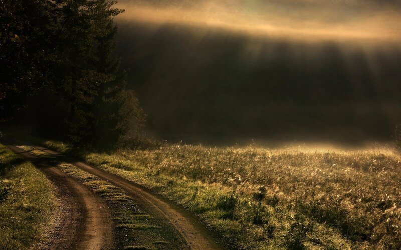 Dirt Road in Foggy Field