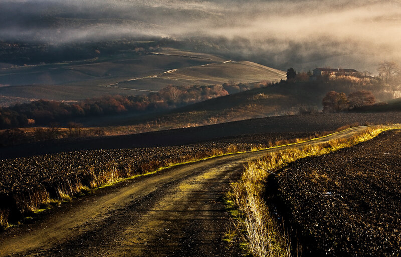 Dirt Road in Foggy Hills