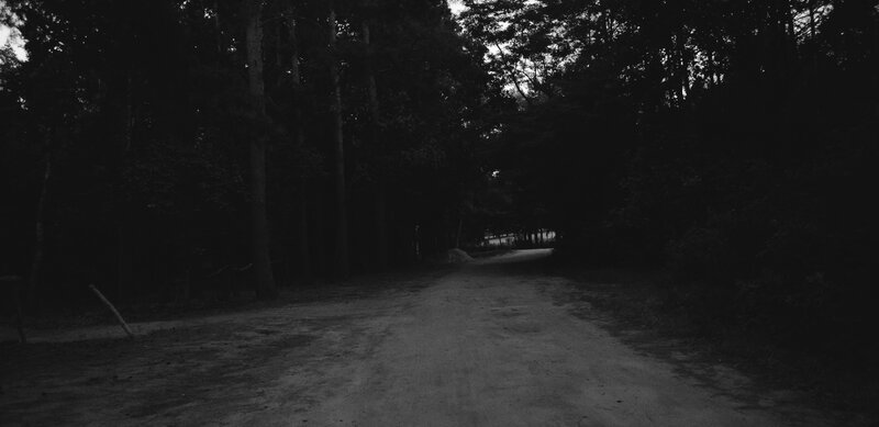 Dirt Road in Forest — Black, Dark