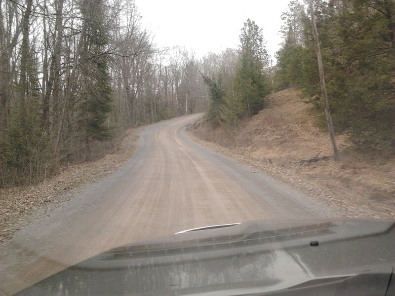 Dirt Road in Forest — Brown, Calm