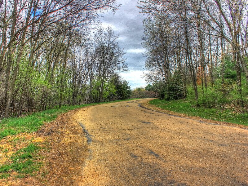 Dirt Road in Forest — Brown, Serene, Spring