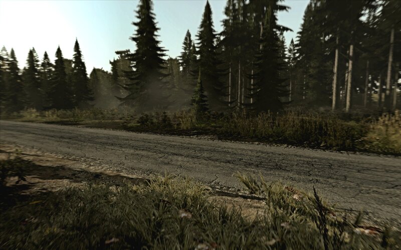 Dirt Road in Forest — Green, Serene, Afternoon, 3d Render