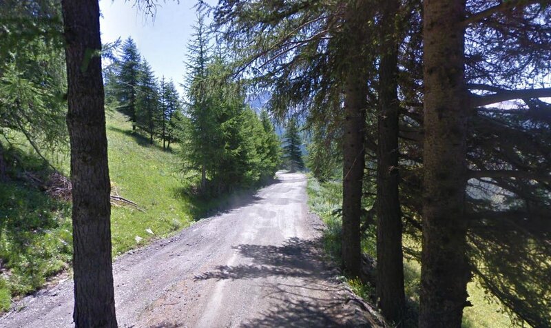 Dirt Road in Forest — Green, Serene, Afternoon, Photograph, Trees, Grass