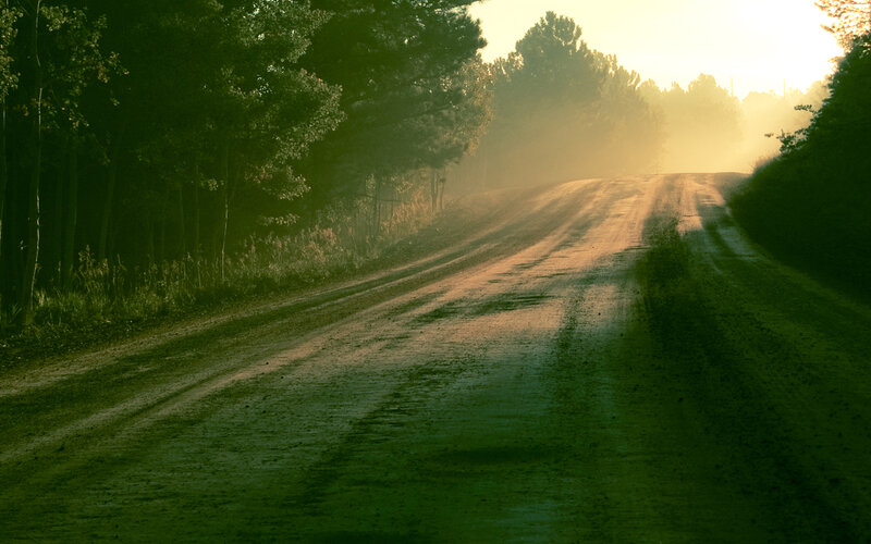 Dirt Road in Forest — Green, Serene, Morning, Photograph