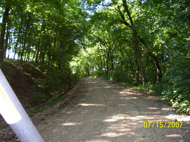 Dirt Road in Forest — Green, Serene, Summer