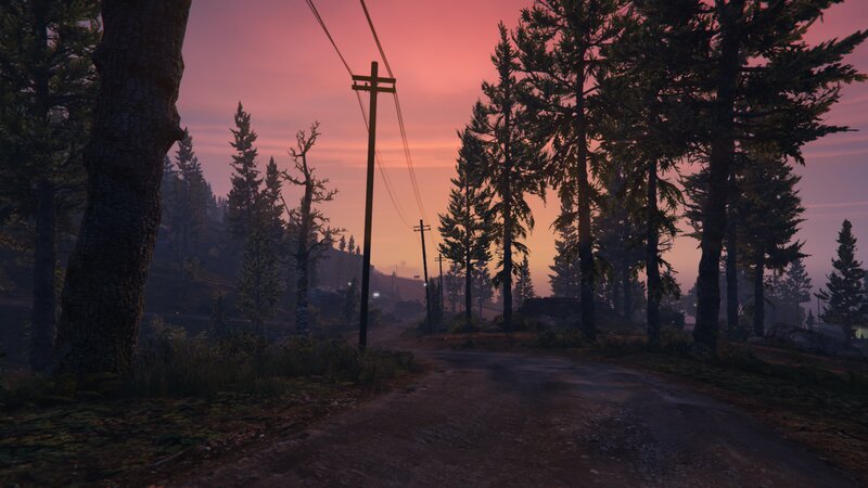 Dirt Road in Forest — Pink