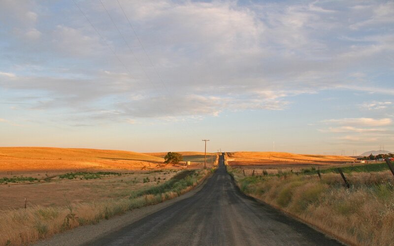 Dirt Road in Golden Fields
