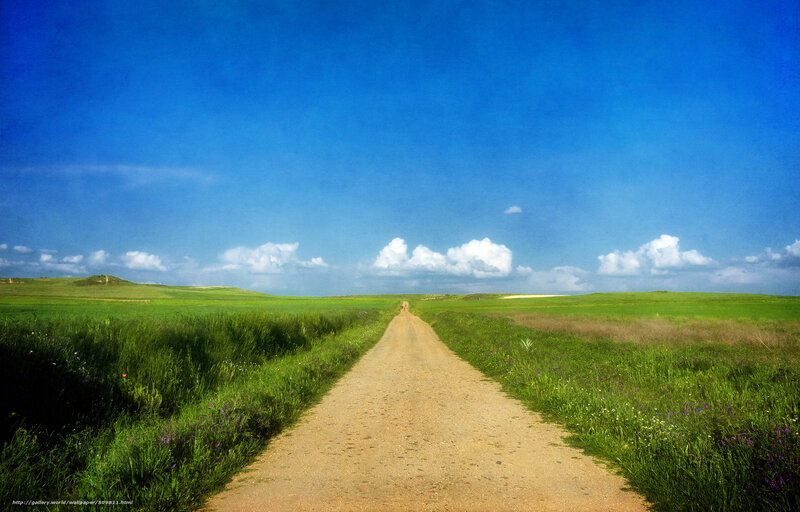 Dirt Road in Green Field — Blue