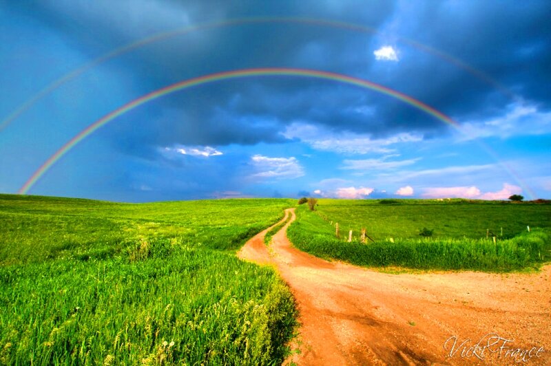 Dirt Road in Green Field