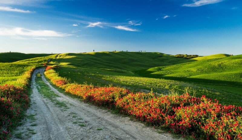 Dirt Road in Green Hills — Serene