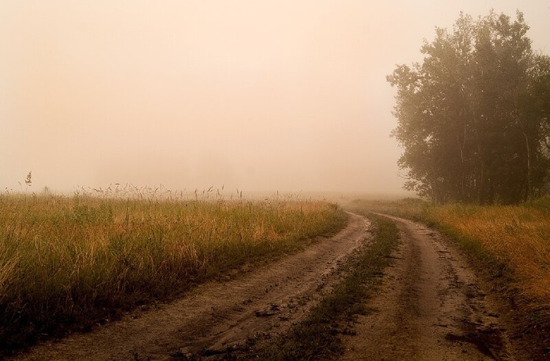 Dirt road in morning fog