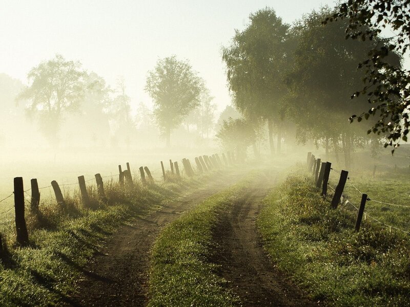 Dirt road in morning mist