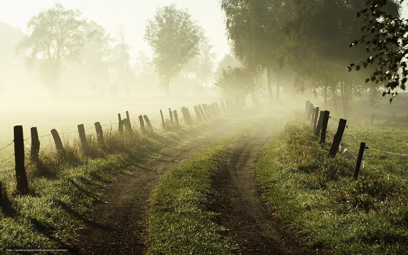 Dirt road in morning mist