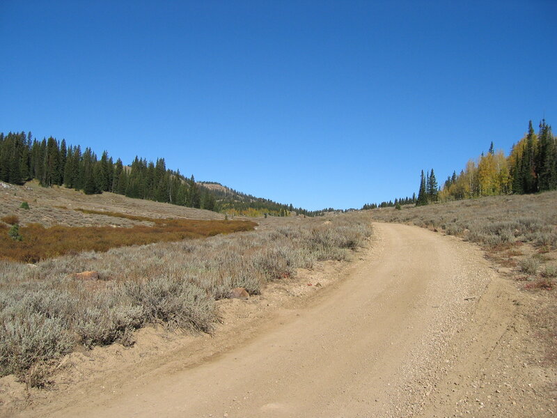 Dirt Road in Mountain Valley — Blue