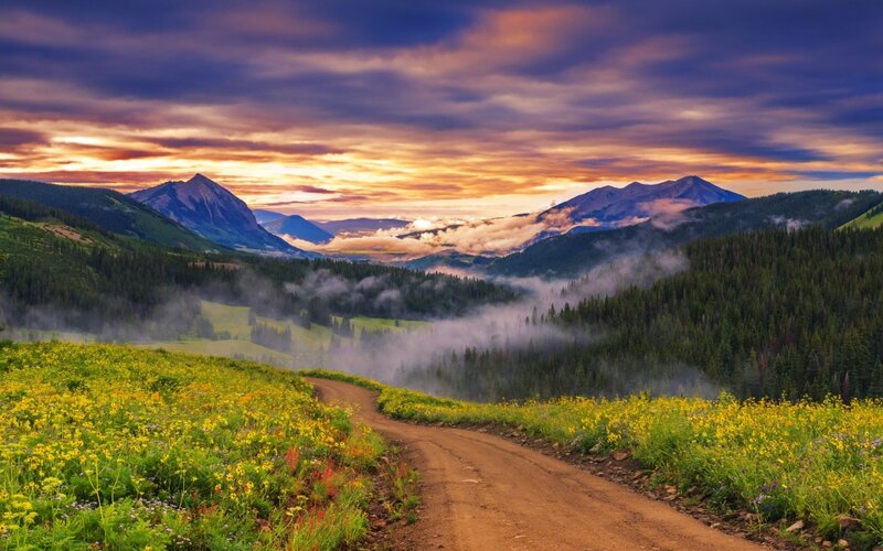 Dirt Road in Mountain Valley — Yellow, Serene