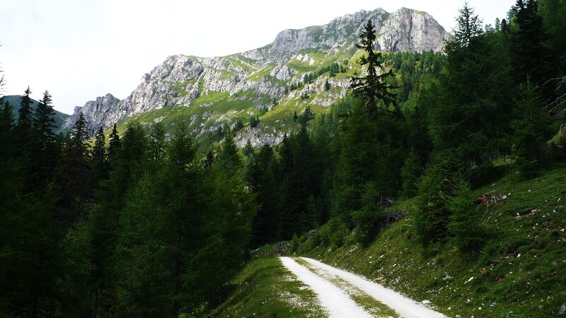 Dirt Road in Mountains — Green, Serene