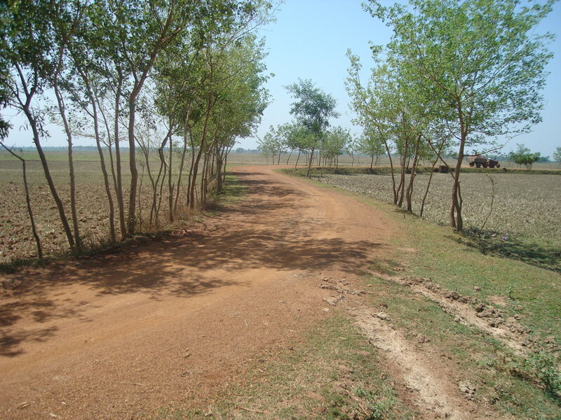 Dirt Road in Rural Area