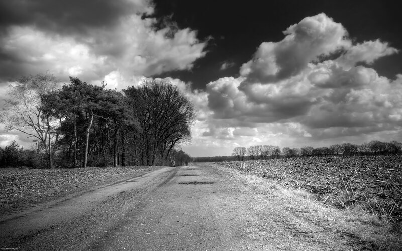 Dirt Road in Rural Landscape